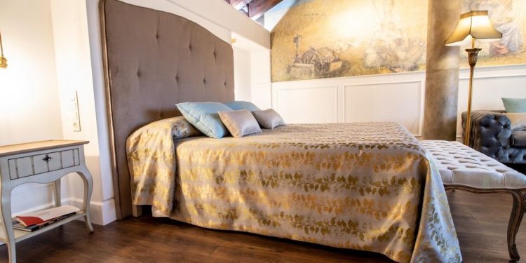 Hoteles que admiten mascotas en la provincia de Zamora
