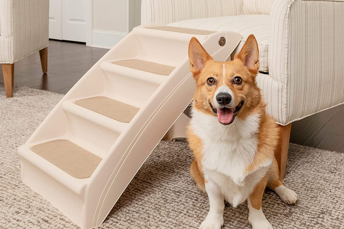 PawHut escalera plegable de madera 2 en 1 para perros