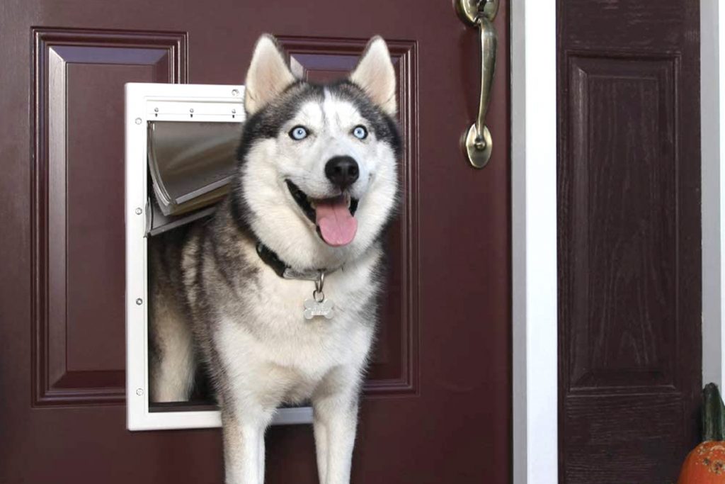 Cómo hacer una entrada en la puerta para su mascota?
