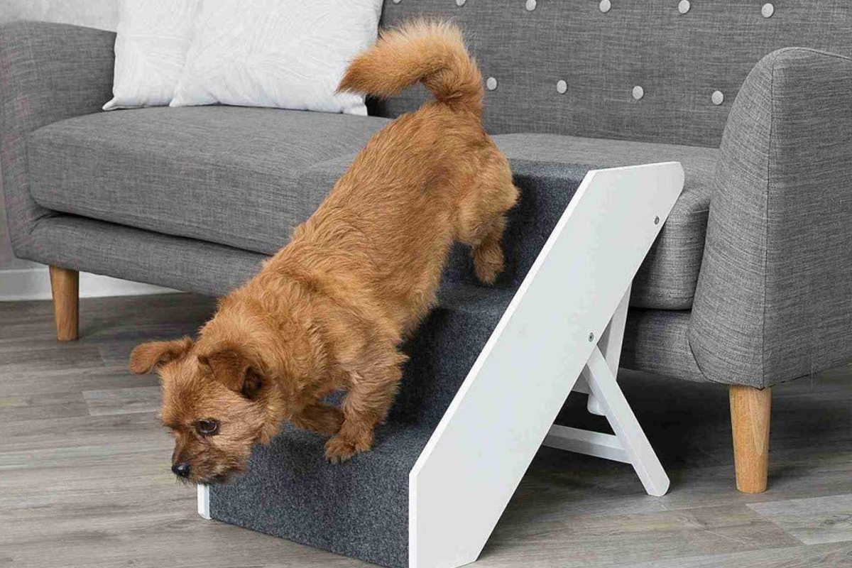 qingyin Escaleras para Mascotas para Perros Y Gatos 25cm|Azul Rampas para Perros Pequeños para Sofá Cama Escaleras Ligeras para Mascotas con Capacidad De 55 Kg 