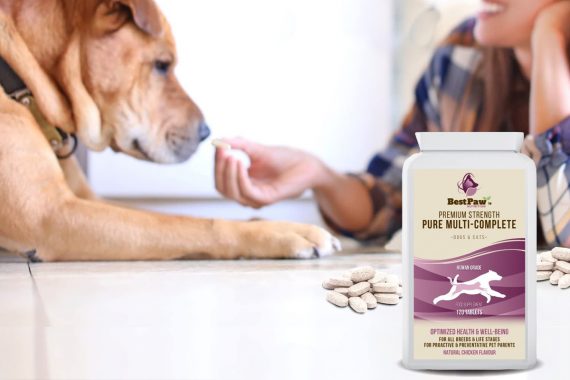 Qué vitaminas son apropiadas para un perro