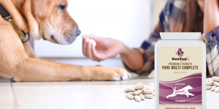 Qué vitaminas son apropiadas para un perro