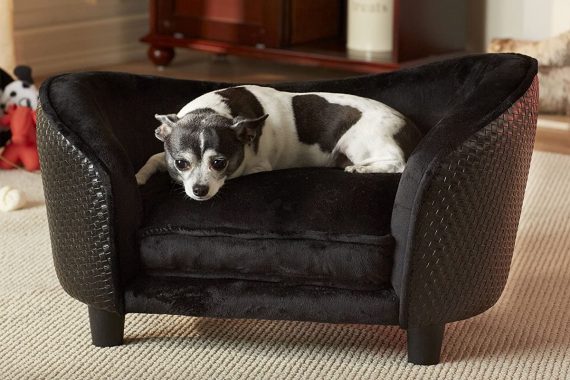 Mejores sofás para perros