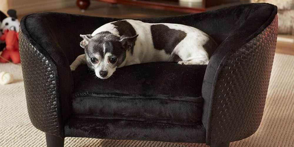 Mejores SOFÁS y SILLONES para perros grandes y pequeños