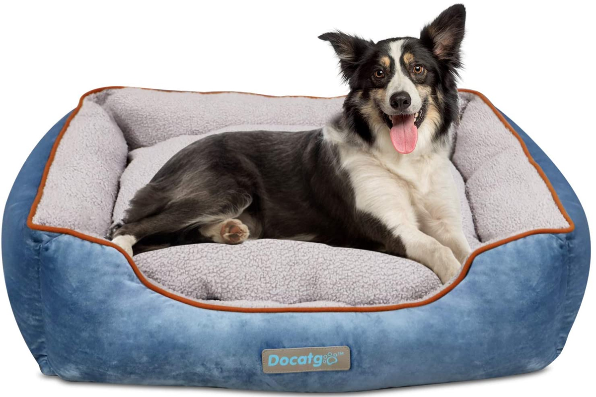 Mejores SOFÁS y SILLONES para perros grandes y pequeños