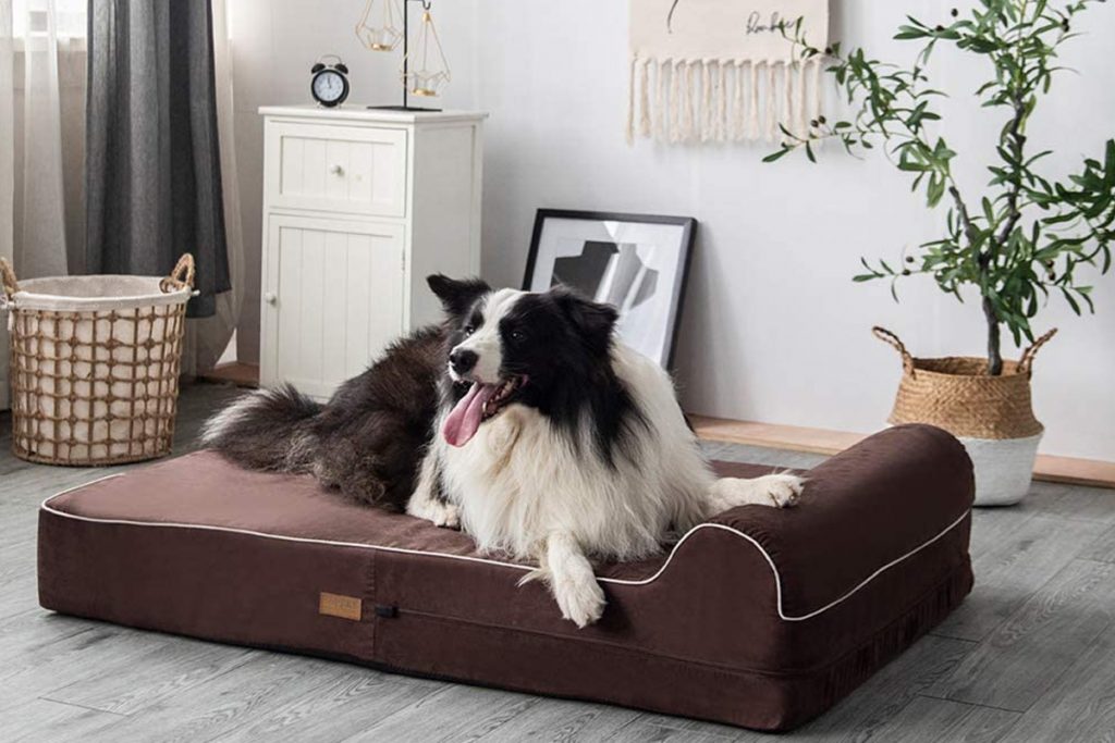 Mejores SOFÁS y SILLONES para perros grandes y pequeños