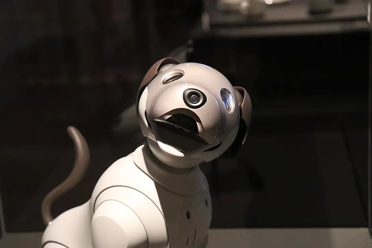 YAODHAOD juguetes para masticar perros,con sonido chillido para mascotas juguetes interactivos para perros juguetes interactivos para hacer sonidos divertidos de goma natural pura 5 lbs-100 lbs 