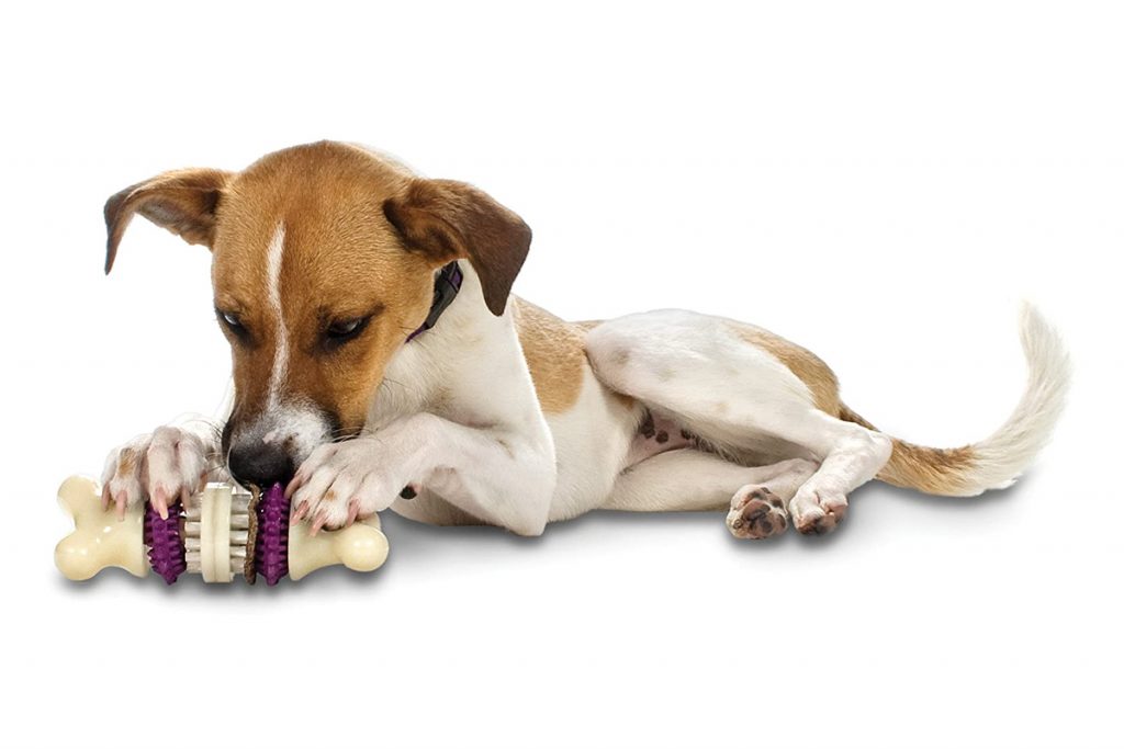 Los mejores juguetes interactivos para perros, Escaparate: compras y  ofertas