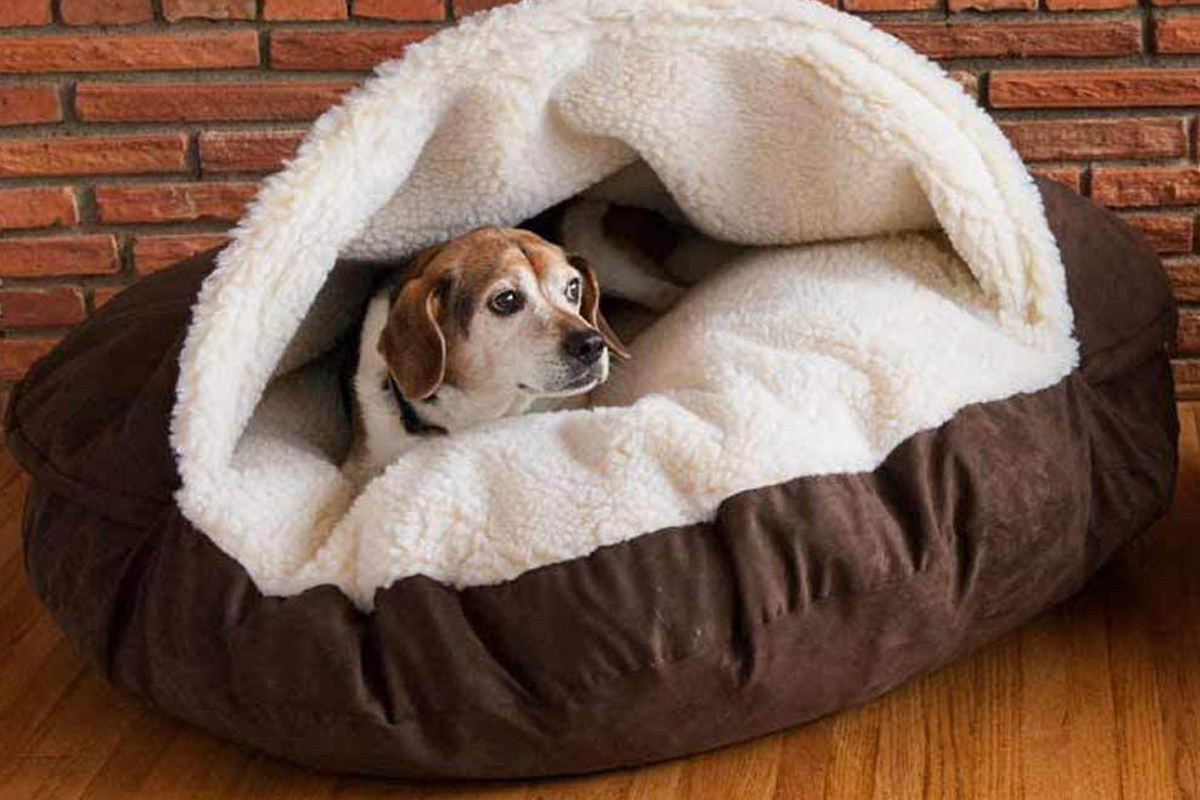 Cama para perro iglu new arrivals