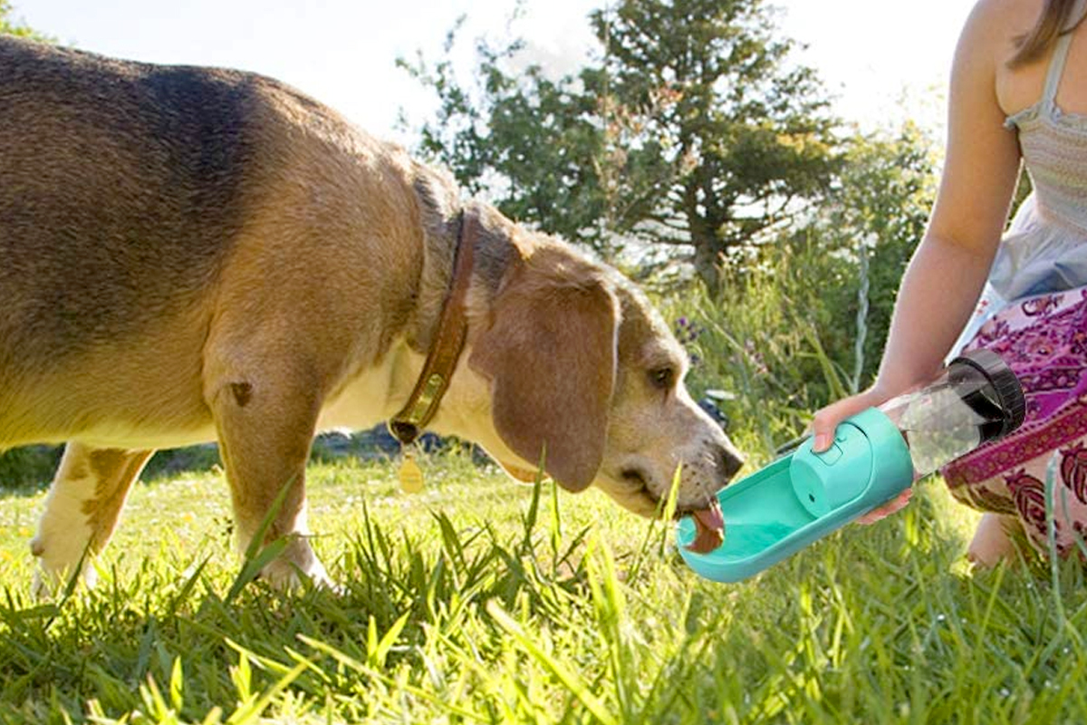 botella de agua para perros sin goteo de posición estable y ajustable Botella de agua para perros,botella de agua para perros con cuenco botella de agua para mascotas adecuada para mascotas azul 