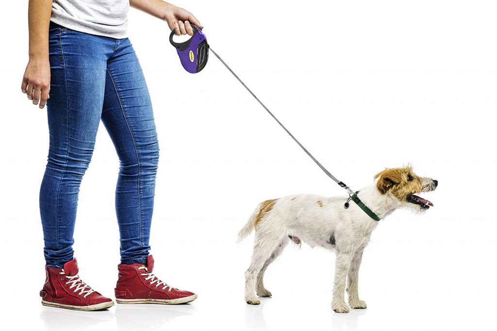 Diferentes tipos de correas para perros: corta, de diez metros,  extensible ¿Para qué sirve cada una?