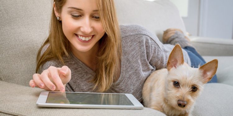 Top 5 seguros online económicos para perros