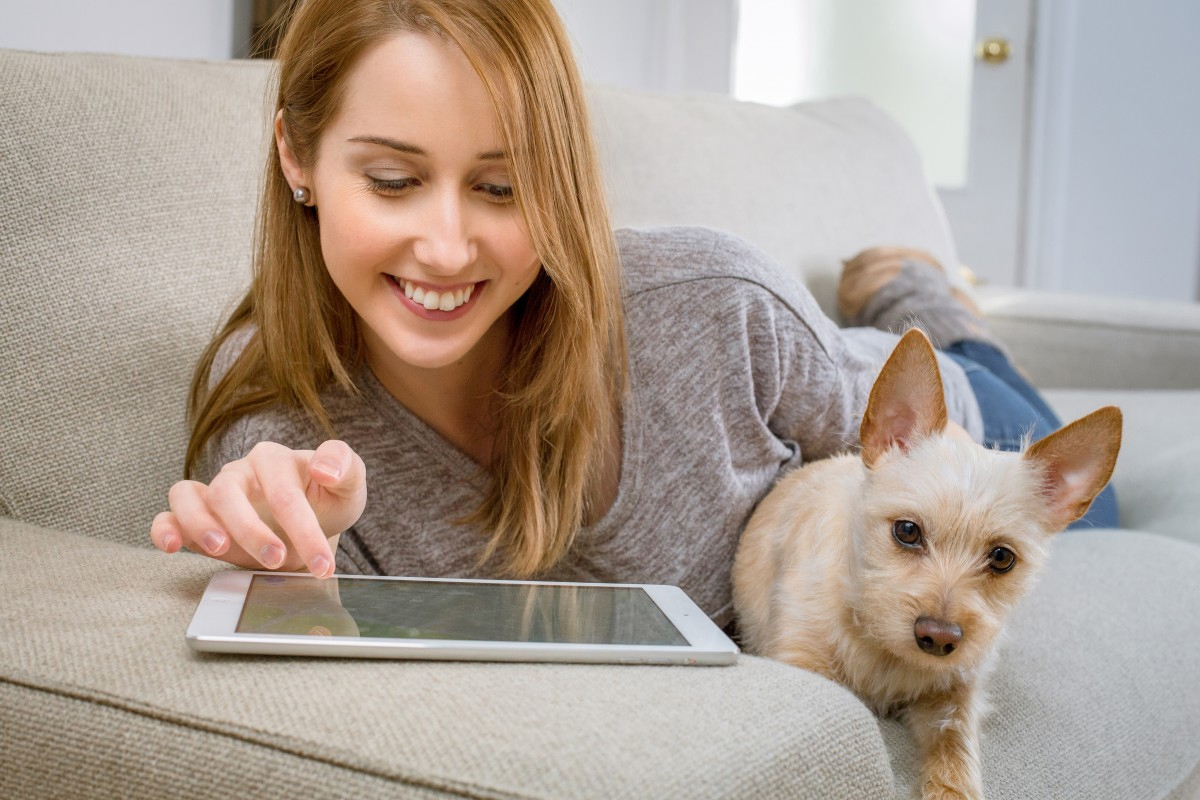 Top 5 seguros online económicos para perros