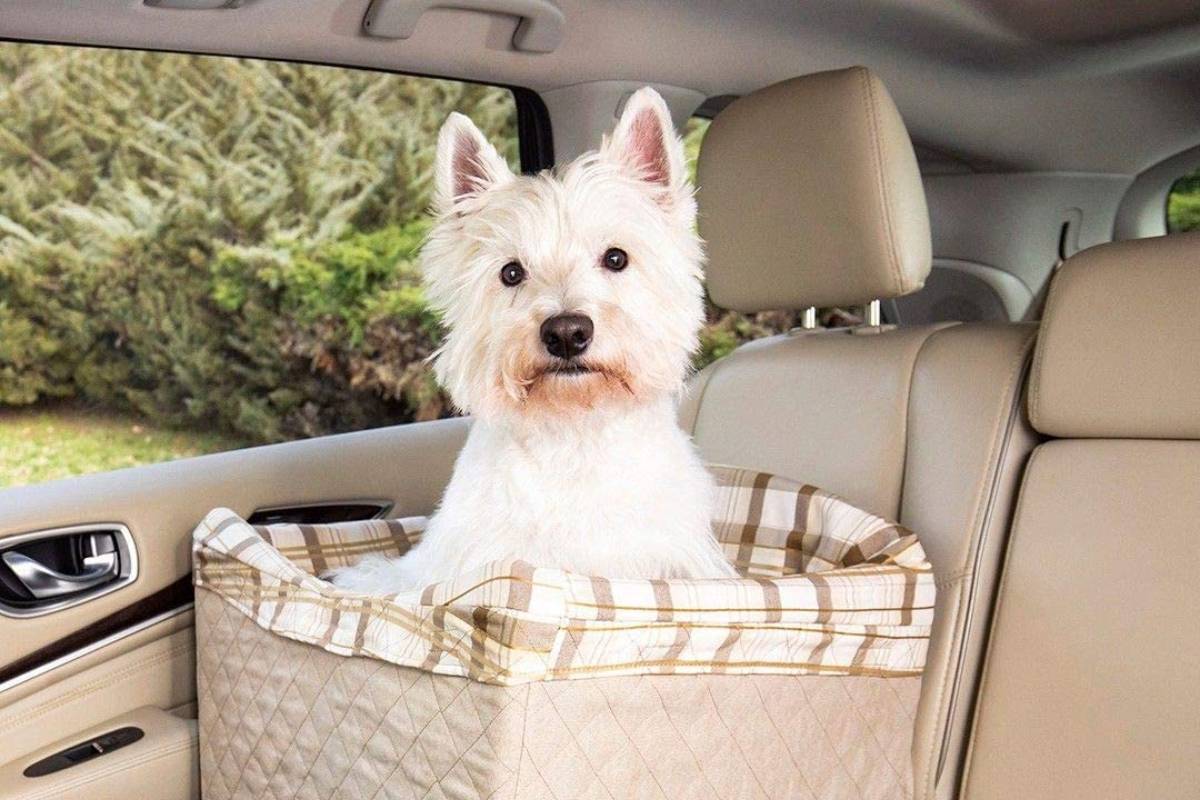 Fuerte y duradero protege el interior del coche del barro y el pelo Conducción sin distracciones rosa Asiento de coche para perro | Asiento elevador de seguridad lavable para mascotas 