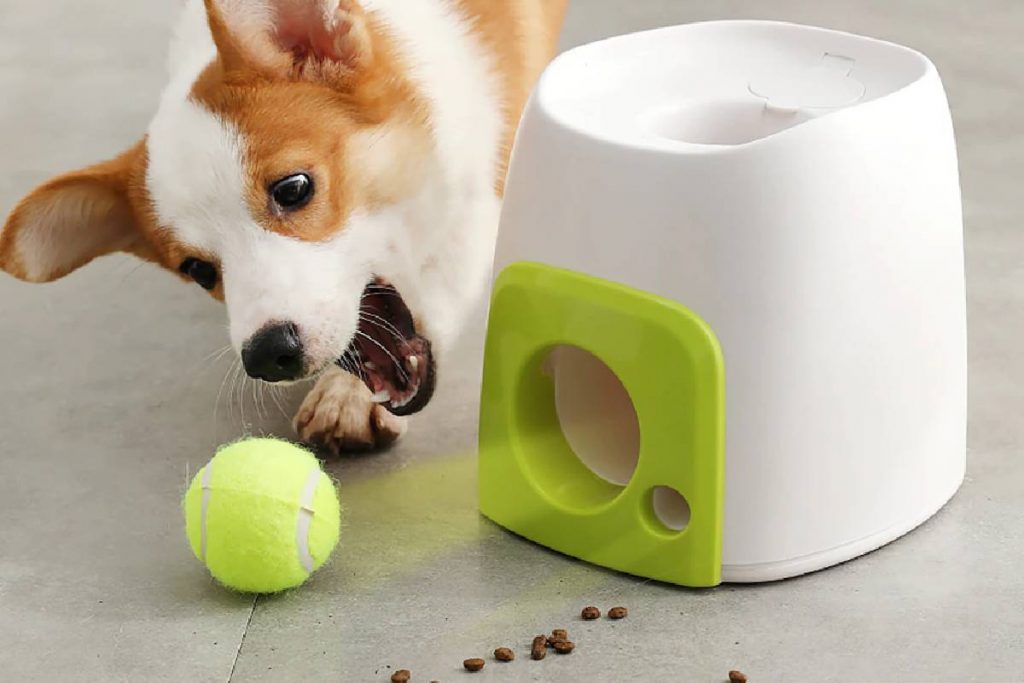 PetSafe Lanzador de Pelotas para Perros Automático, Lanza Pelotas de Tenis,  Juguete Interactivo para Perros, Juego para Perros, Configuración