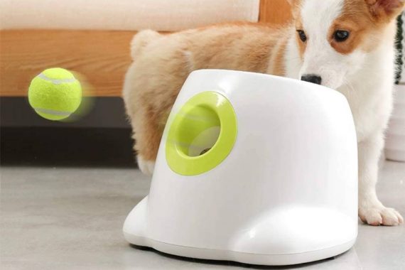 Top 6 mejores lanzadores automáticos de pelotas para perros