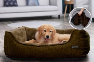 Top 10 mejores camas desenfundables para perros