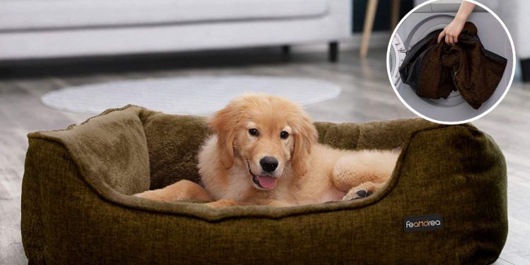 Top 10 mejores camas desenfundables para perros