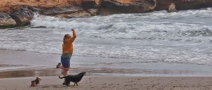 playa para perros de Orihuela