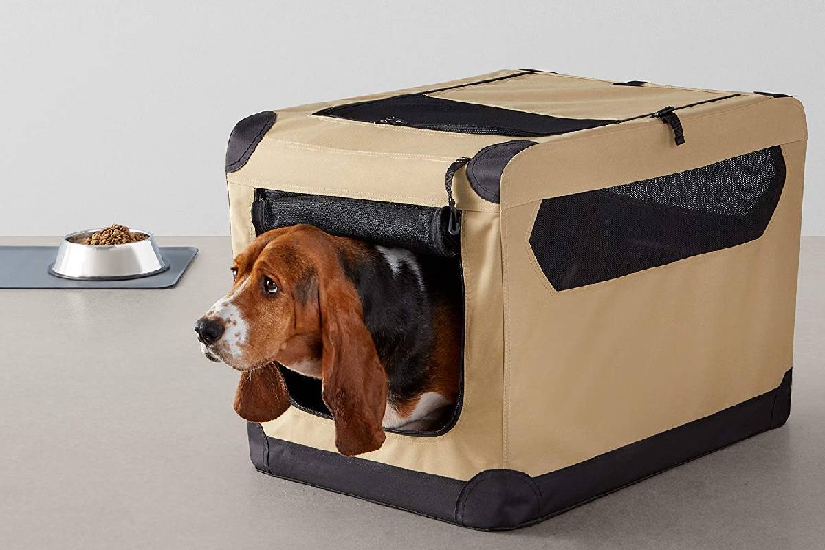 Mejores jaulas plegables de tela para viajar con tu perro