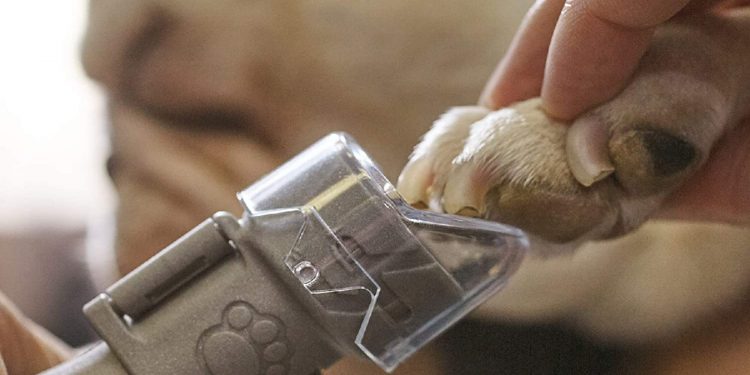 Mejores limas de uñas eléctricas para perros