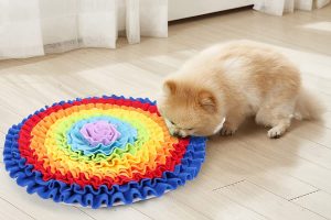 alfombra-olfativa-perros-pequeños