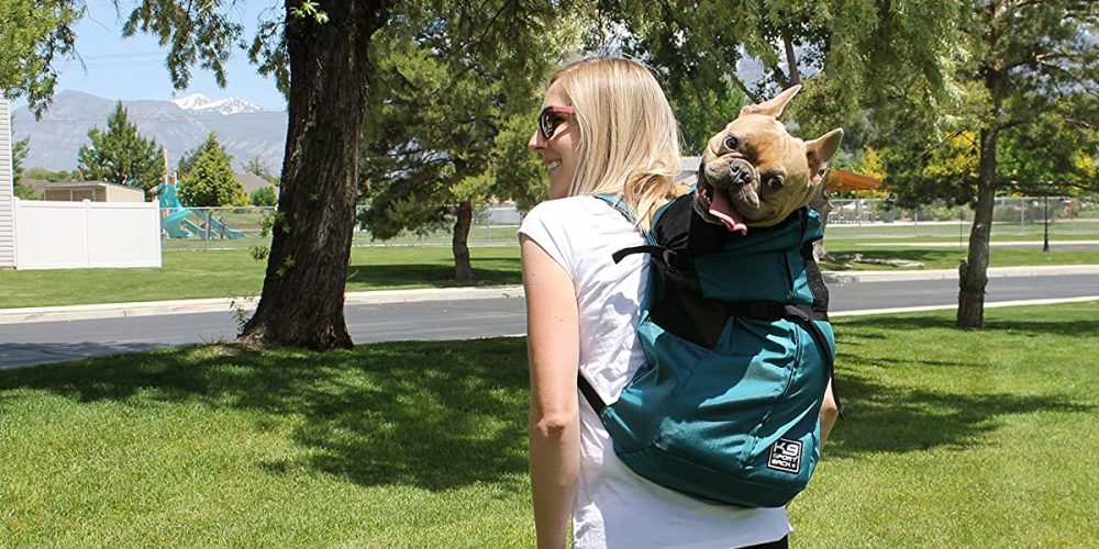 Mejores mochilas para perros medianos