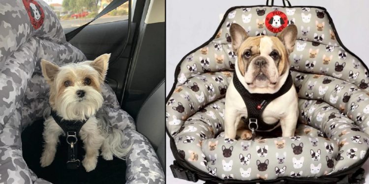 Mejores sillas de perros para viajar en coche