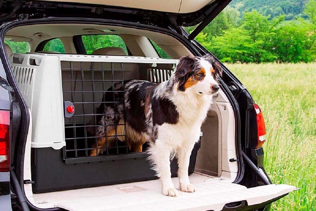 Los 6 mejores transportines para perros grandes