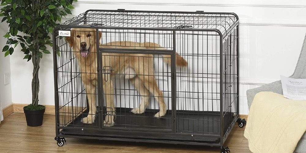 Mejores transportines para perros grandes