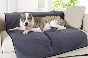 Mejores mantas térmicas para perros