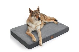 Mejores camas viscoelásticas para perros
