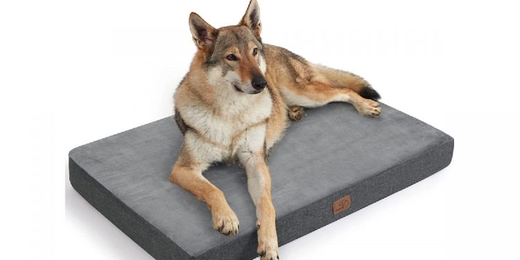 Mejores camas viscoelásticas para perros