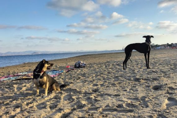 Playa para perros en el Mar Menor