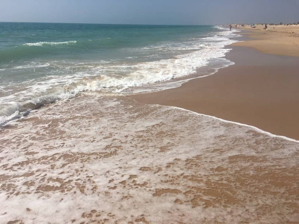 Playa para perros de Torregorda en Cádiz