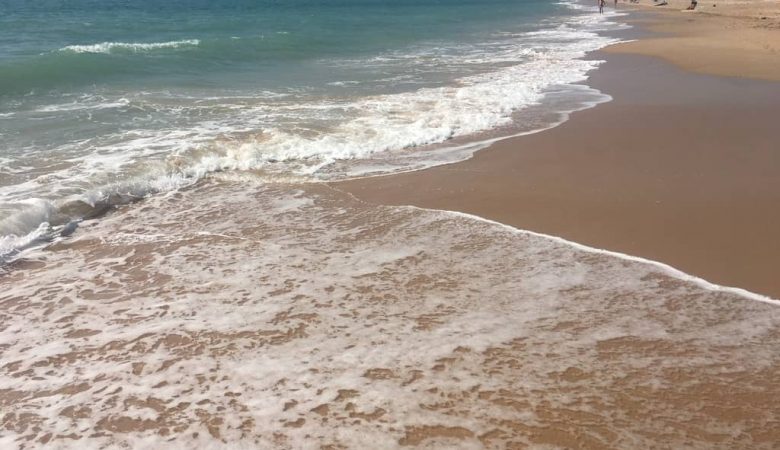 Playa para perros de Torregorda en Cádiz