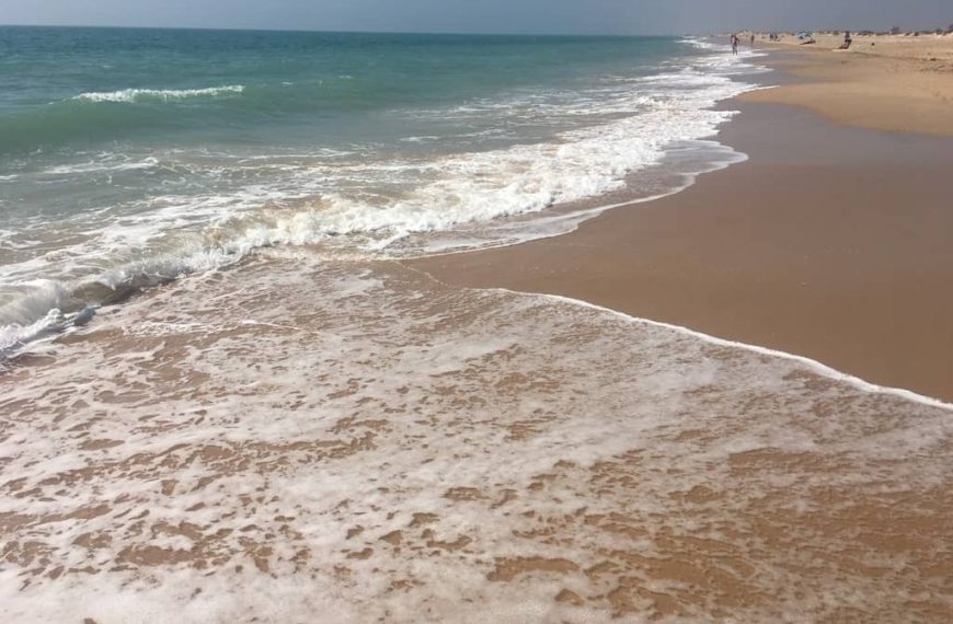 Playa para perros de Torregorda en Cádiz